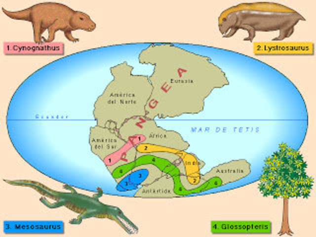 DERIVA CONTINENTAL -  TEORÍA MOVILISTA