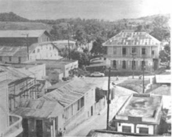 El general Wilson causa importantes bajas