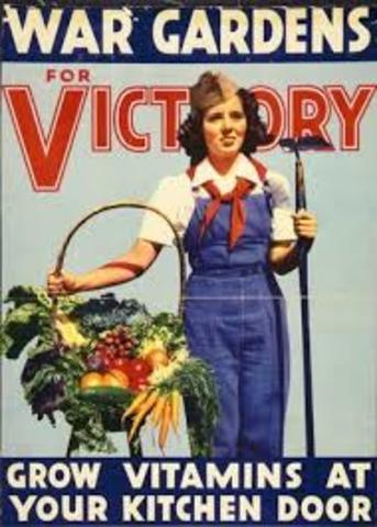 Victory Gardens