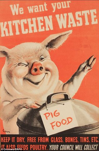 Us office of war information