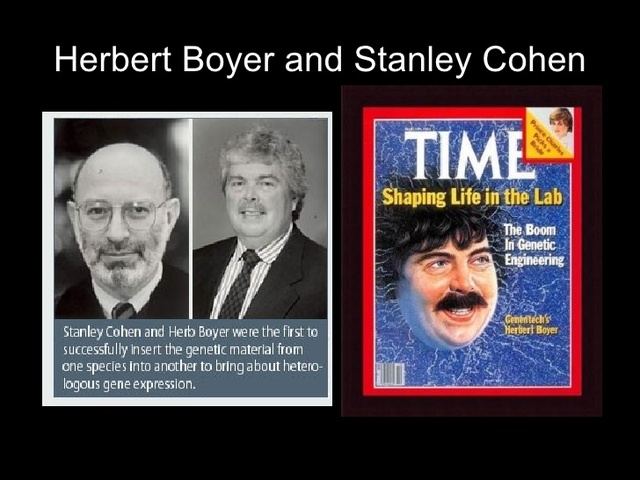 Primer modificación genética