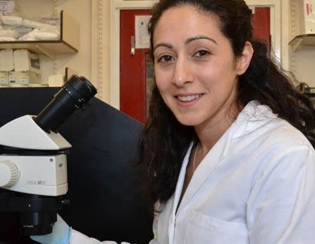 Científicos británicos reciben luz verde para modificar embriones