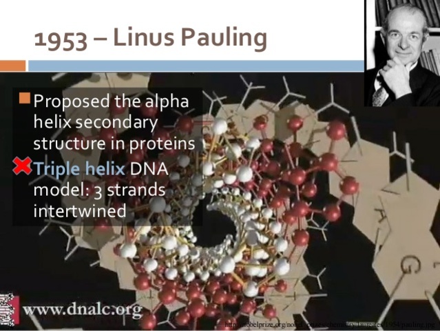 Linus Pauling