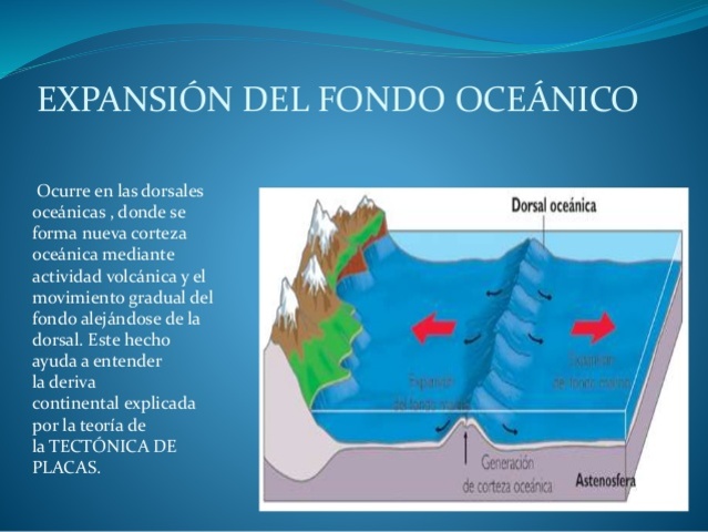 Expansión oceánica