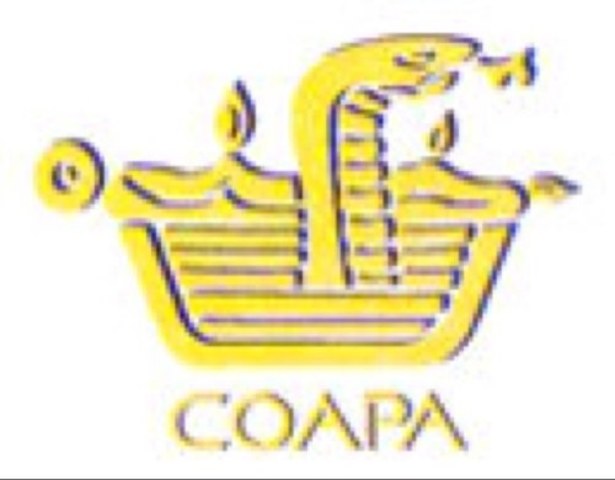 Historia de la Informática.