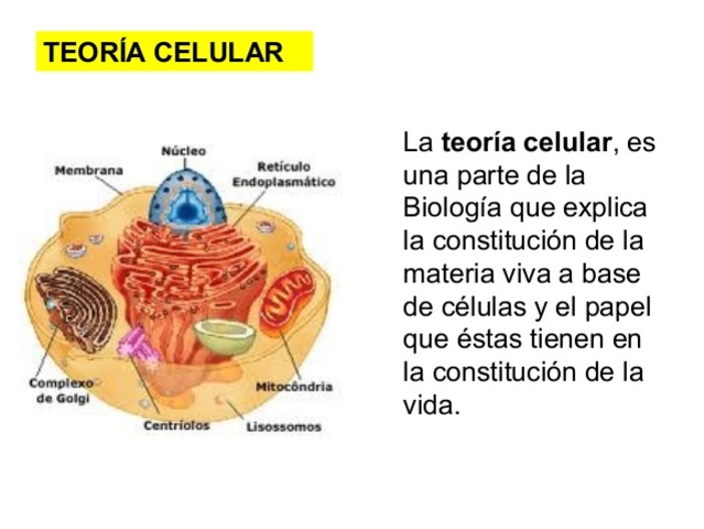 Siglo XIX, Base de la teoría celular