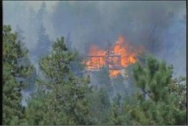 Mass evacuations due to wildfire in Four Mile Canyon