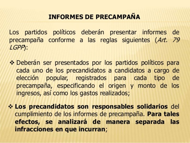 Informe de ingresos y gastos de precampaña (requisitos).