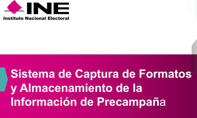 Formatos y almacenamiento de la información de Precampaña.