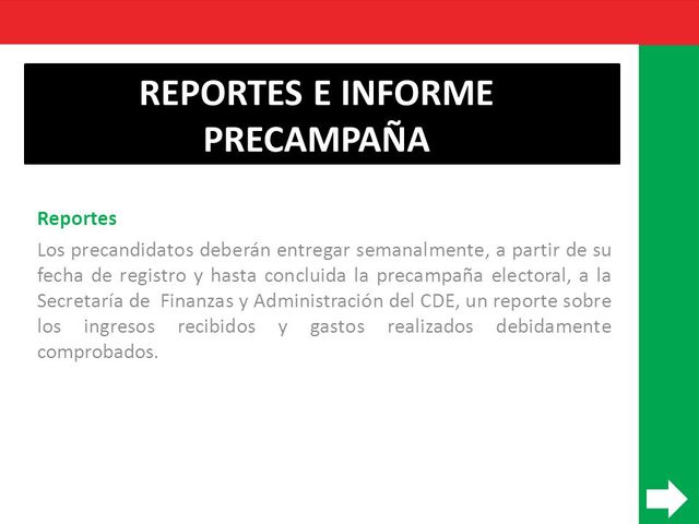 Informe de ingresos y gastos de precampaña (requisitos).