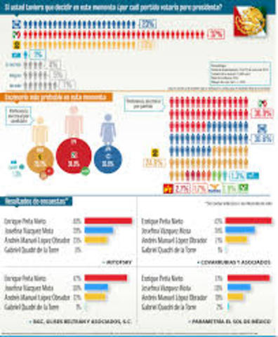 Lineamentos y Criterios Generales que deben adoptar las personas físicas o morales que pretendan llevar a cabo encuestas.