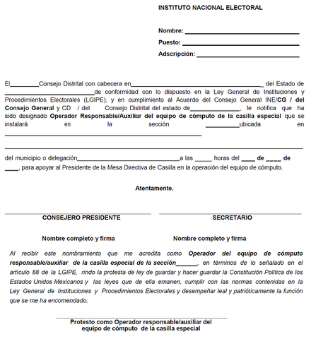 Formato y almacenamiento de la informacion de Precampaña