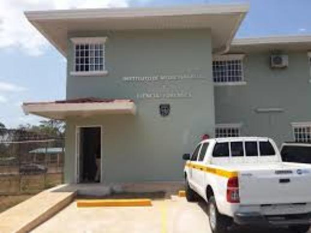 Inicios del Instituto.