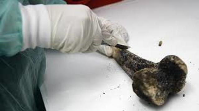 Servicios Periciales.