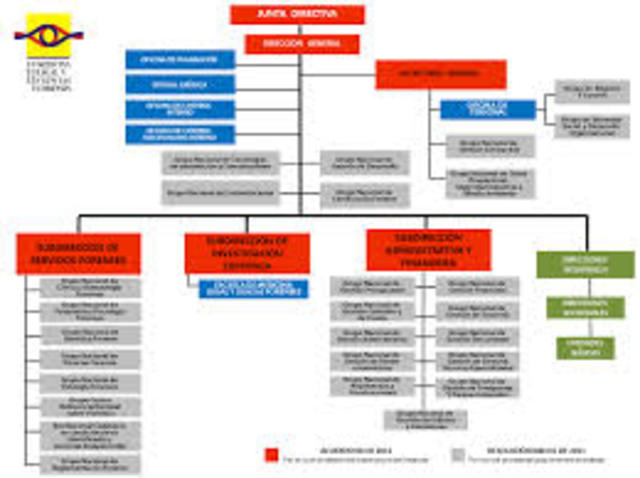 Reorganizacion del Instituti de Medicina Legal y Ciencias Forenses