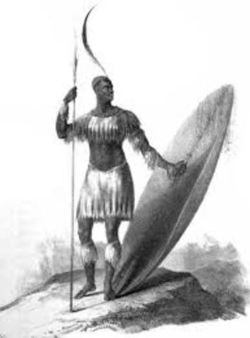 Zulu chief, Shaka