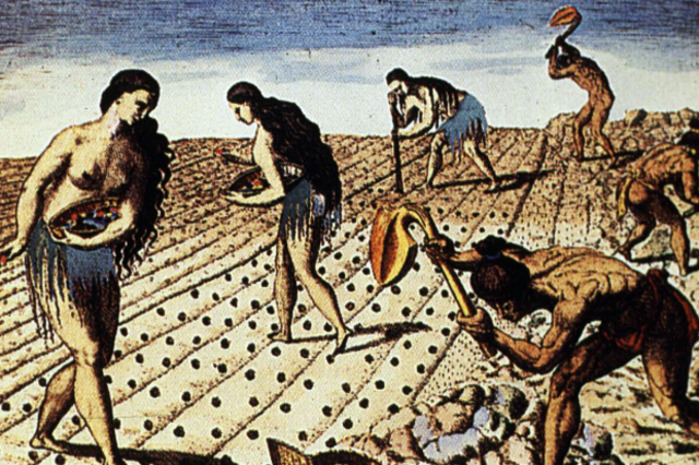 Native American Division of Labour