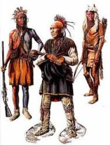 Iroquoian Division of Labour