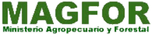 Análisis Comparativo