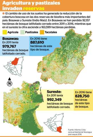 Afectaciones Directas