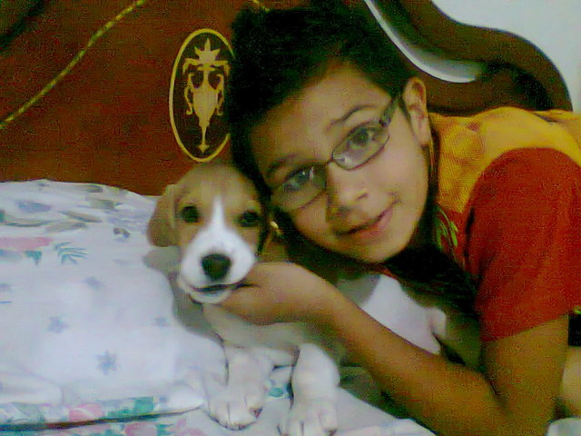 The Arrival Of My Pet