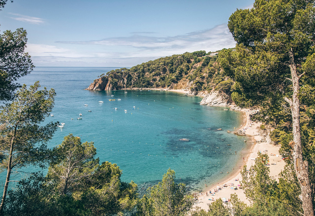English Camping in Cala Llevadó