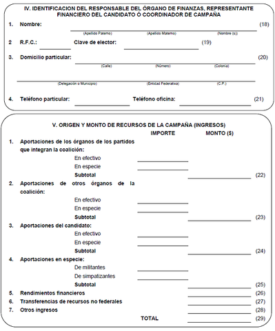 Informes sobre el origen, monto y aplicación del financiamiento para la observación electoral