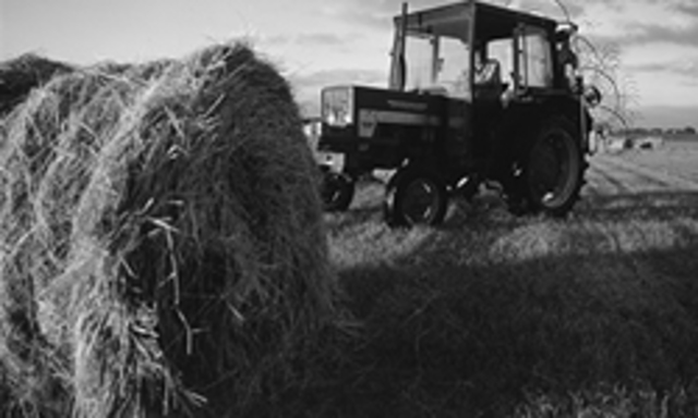 Populism and Progressivism