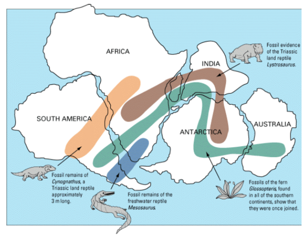 Alfred Wegener releases his book "The Origin of the Continents and Oceans"
