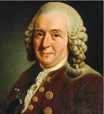Carolus Linnaeus 1731