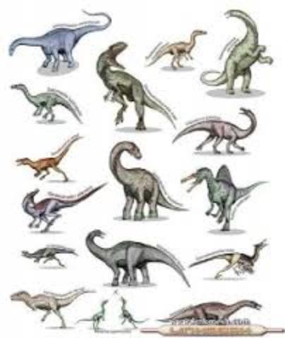 ELS DIFERENTS DINOSAURES