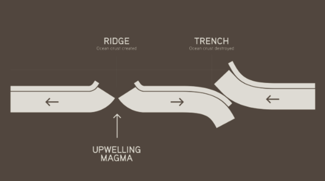 1959: Supporting Evidence