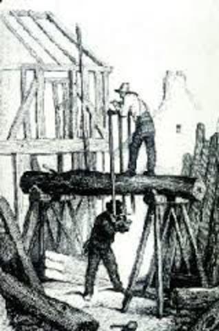 Economy Based on Timber