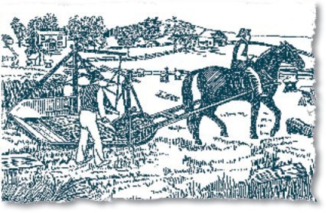 Changes in Agriculture