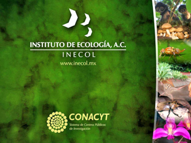 Acuerdo Presidencial.