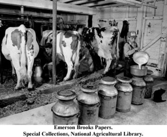 Development of Dairy Industry