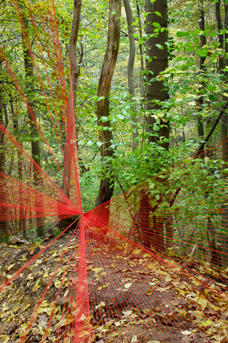 Sébastien Preschoux - Autumn