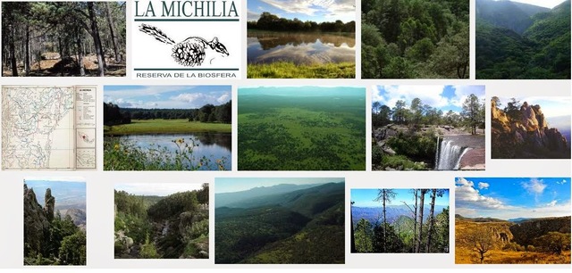 Reserva de la Biosfera Mapimi: En Mapimí, el Gobierno de Durango