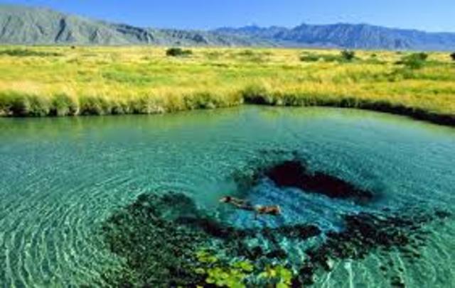 Reserva de la Biosfera El Cielo, en Tamaulipas