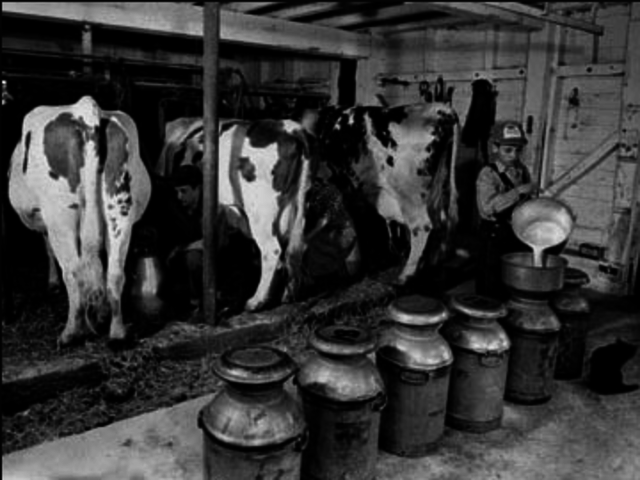 Development of Dairy Industry