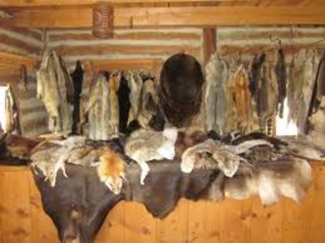 Fur Trade during British Regime