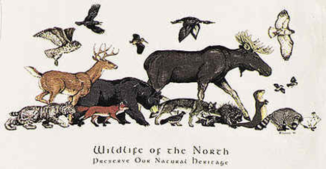 Treatment of Nature of Natives