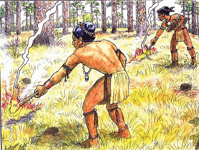 Slash and Burn Agriculture