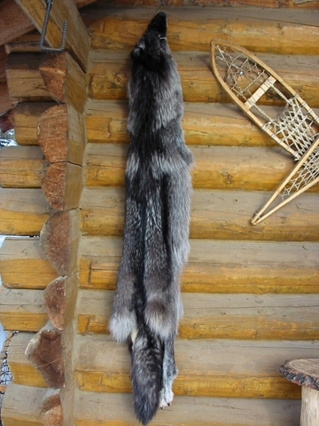 Economy based on Fur