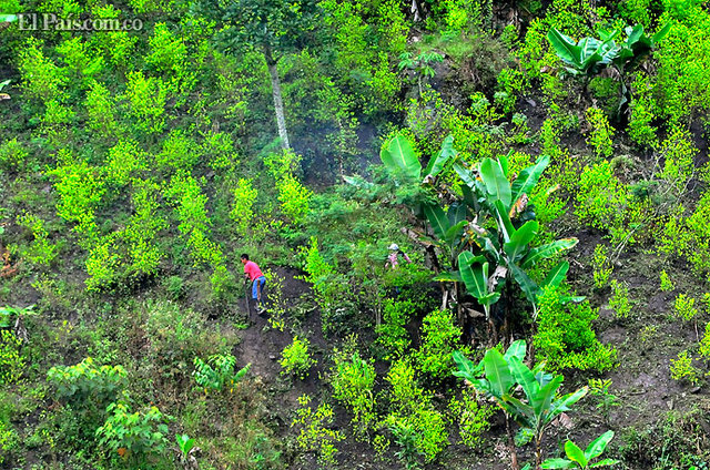 Comienzo de una nueva bonanza