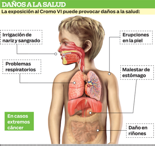Atribuyen muertes a la contaminación