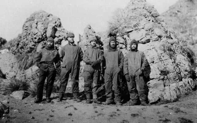 Sealing at Macquarie Island