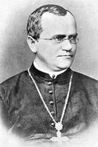 Mendel