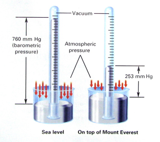 Torricelli: Mercury Barometer
