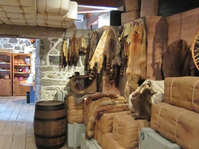 Economy of Fur (1/4)